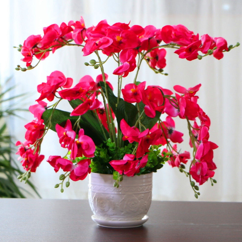 什么鲜花适合放在卧室