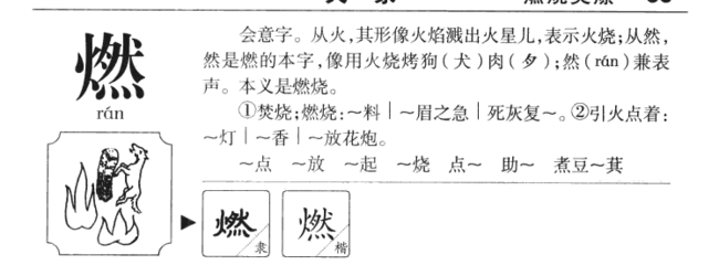 儿字属于五行属什么