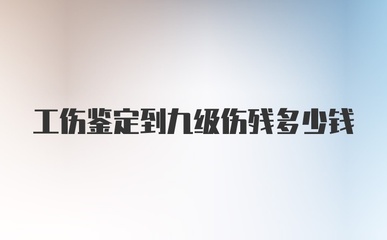 工伤鉴定九级多少钱