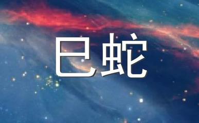 十月寒冬是什么生肖