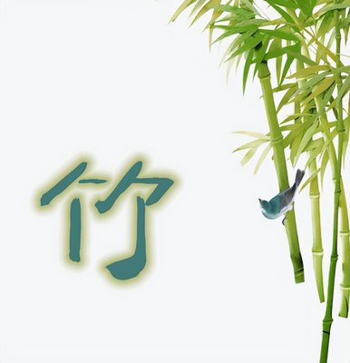 竹字起名