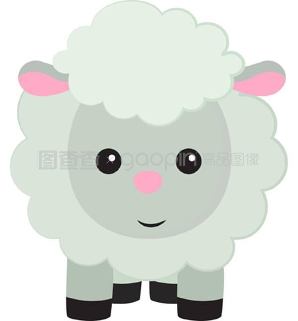 可爱的小绵羊,插图,白色背景的矢量