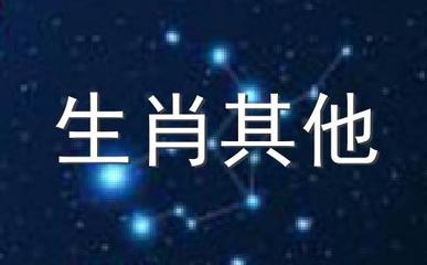 运打一生肖