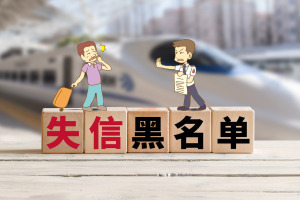 什么叫执行人