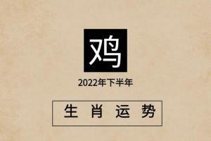 属鸡五行属什么