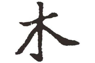 缺金木火的女孩名字