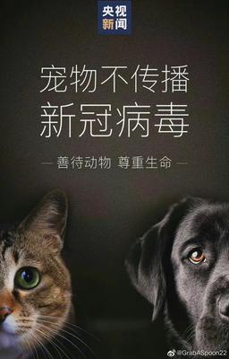 法律是不是科学