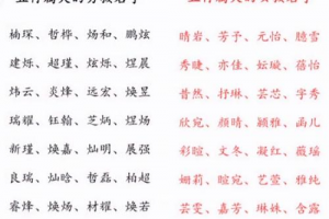 凝五行