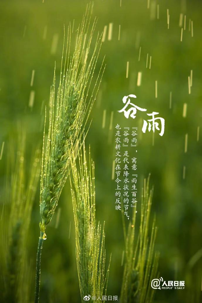 谷雨的寓意