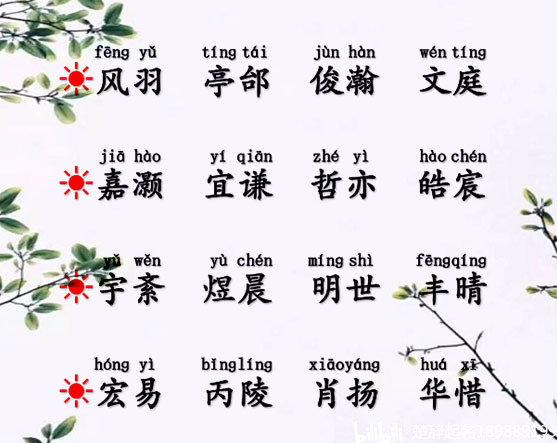 楚辞起名字大全男孩