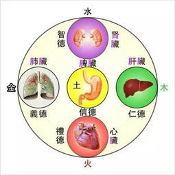 五行缺水缺土男孩取名