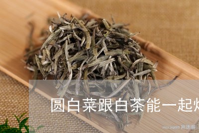 怀孕能喝白茶吗