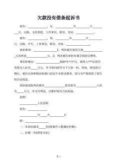 借条起诉状