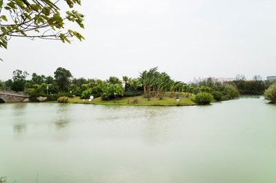 南昌市瑶湖湿地公园
