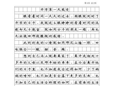 周记计划500字作文怎么写