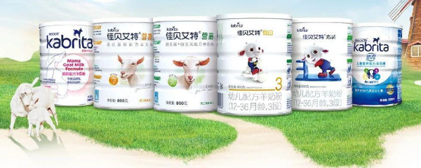 羊奶粉能做酸奶吗