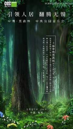 黑森林橱柜