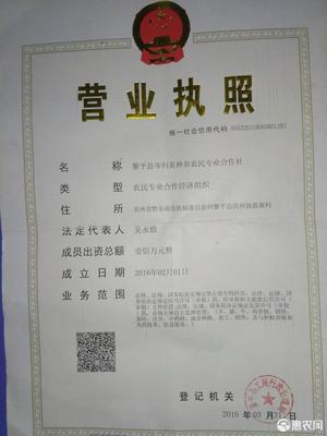 营业执照经营范围查询
