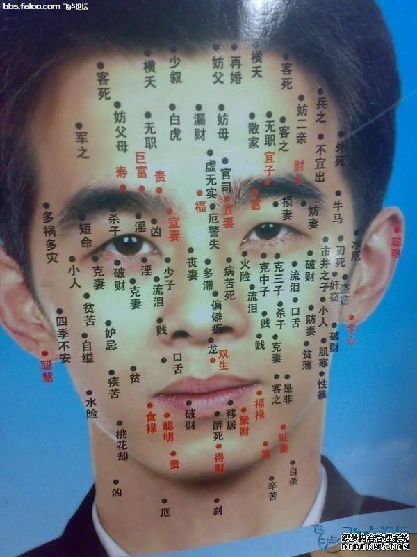 腿痣的位置与命运图解
