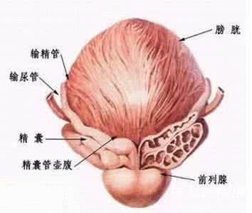 睾丸积液怎么治疗