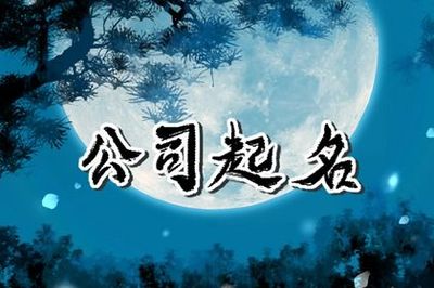 公司起名要求