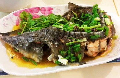 鲟鱼粥的做法大全家常做法