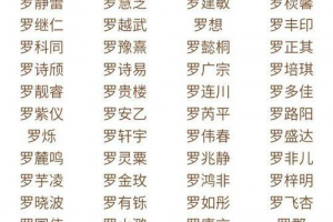 罗字取名字女孩名字