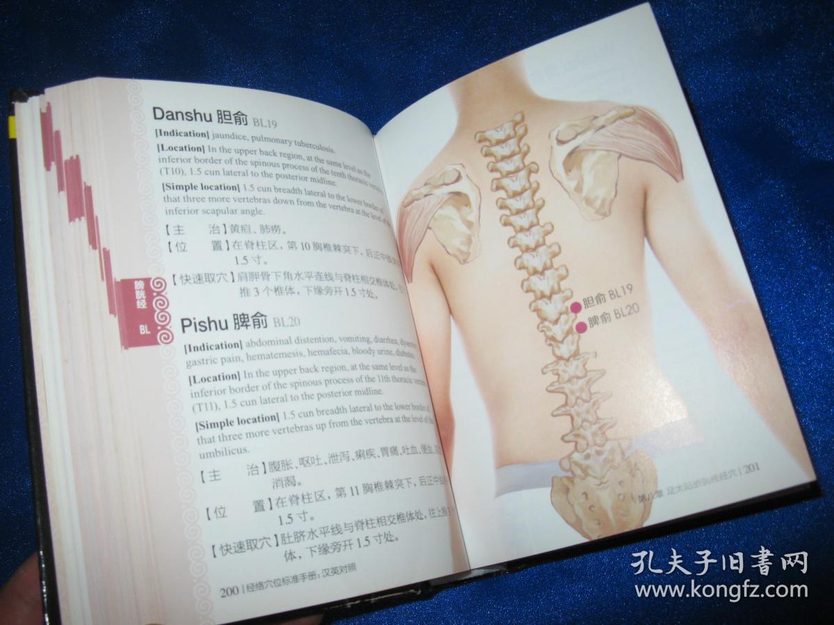 经络治痘痘