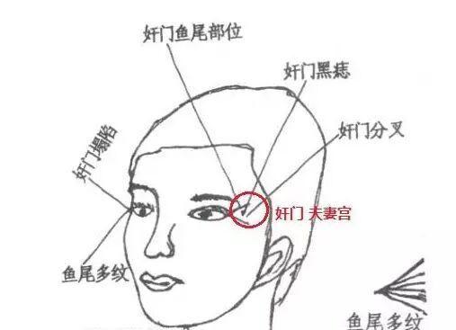 有美人尖的女人命运