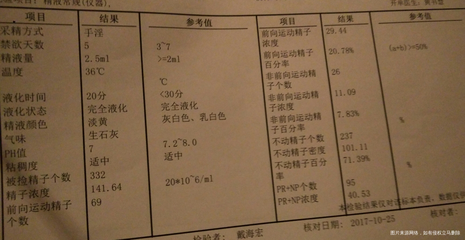 精子浓度多少会怀孕