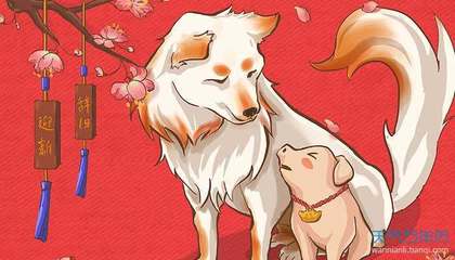 生肖狗的幸运色