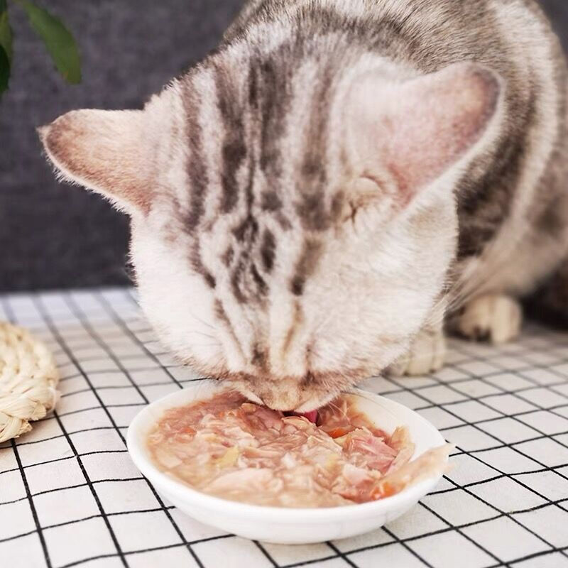 2个月的小猫吃什么