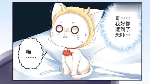 做梦梦到猫妖