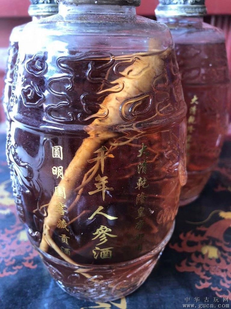 千年人参是什么生肖