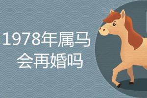 属鼠女和属马男的婚姻怎么样
