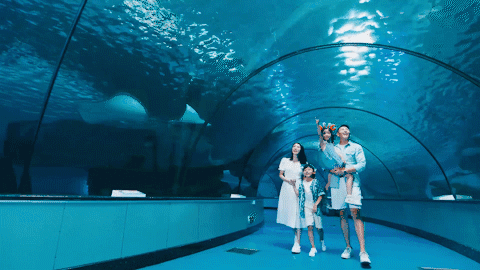 欧乐堡海洋世界