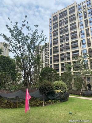 杭州临平楼盘