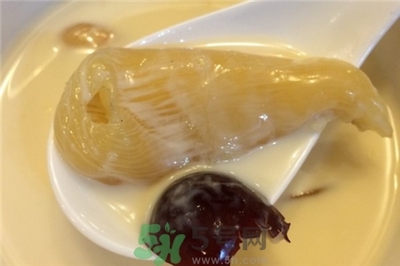 孕妇吃什么鱼胶好