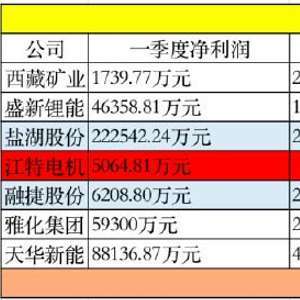 西藏礦業(yè)H1財(cái)報(bào)：憑借鹽湖成本優(yōu)勢(shì)實(shí)現(xiàn)營(yíng)收利潤(rùn)雙增