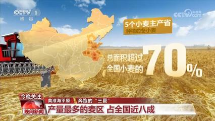 小麦全国哪个省最多