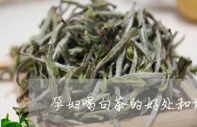怀孕能喝白茶吗