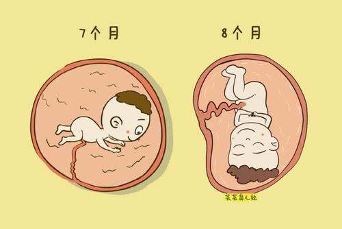 七个月早产