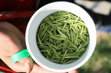 喝绿茶胃难受