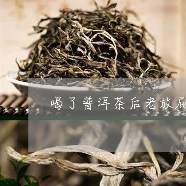 喝中药老是放屁是怎么回事