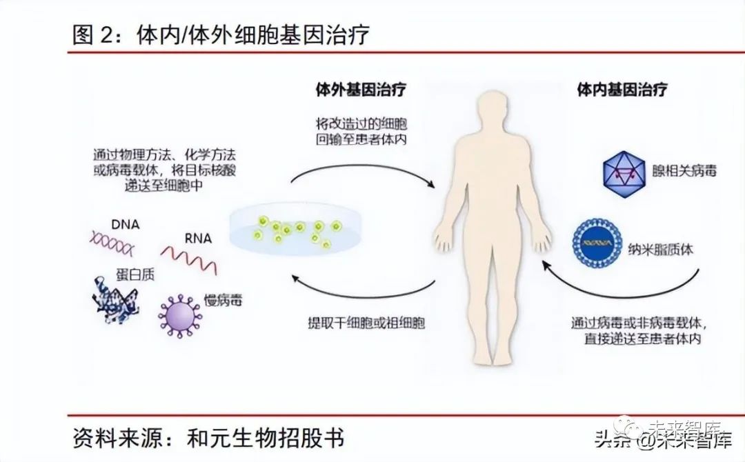 腺病毒怎么治疗效果好
