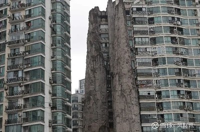 上海长寿路假山
