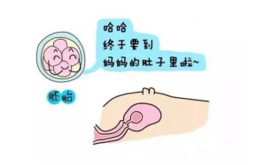 孕早期吃药对胎儿有什么影响