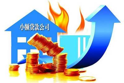 小额信用贷款公司