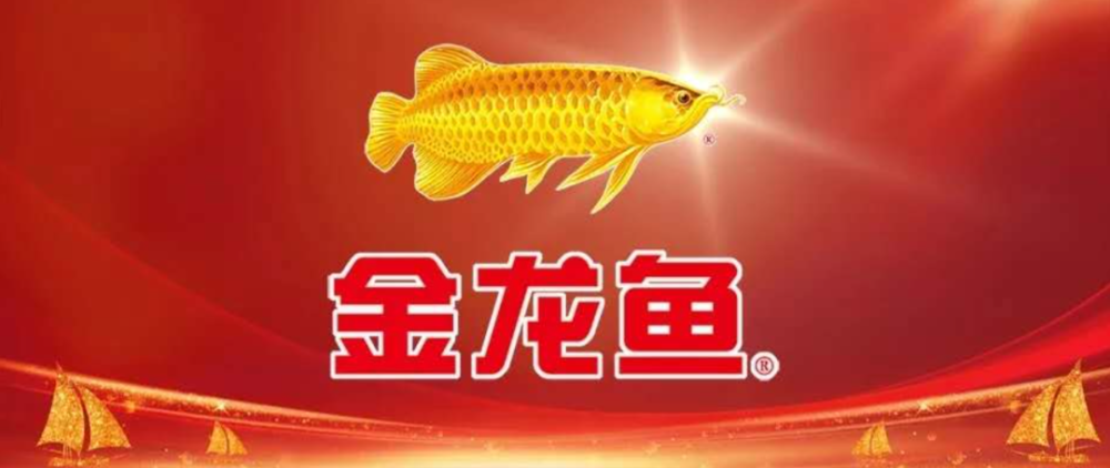 魚缸里面的過濾器是干啥用的（魚缸里面的過濾器是干啥用的呢）