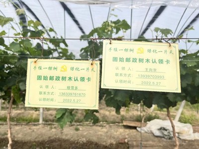 种植合作社起名